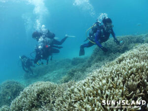 宮古島ビーチポイント『スモールフィッシュガーデン』