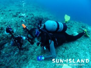 今日のゲストNさん