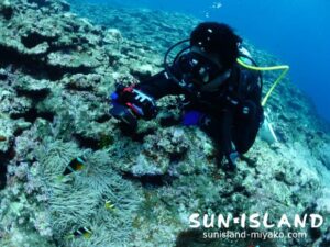 今日のゲストＫさん