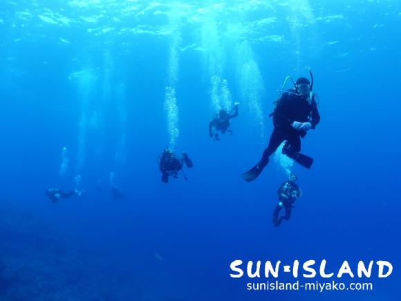 今日のゲストさん