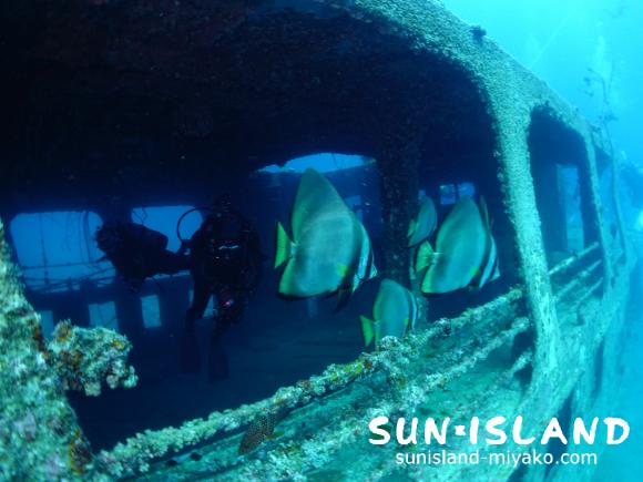 沈船ダイビングをしてる今日のゲスト