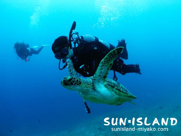 カメと一緒に泳ぐIさん