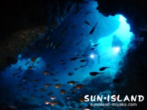 今日の1ダイブ目『魔女の部屋』