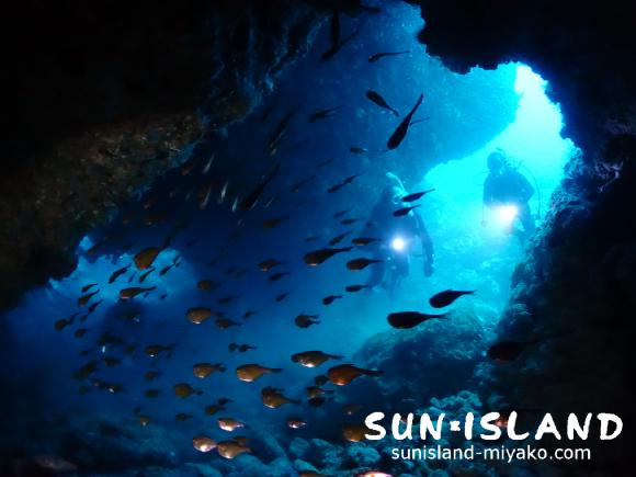 今日の1ダイブ目『魔女の部屋』