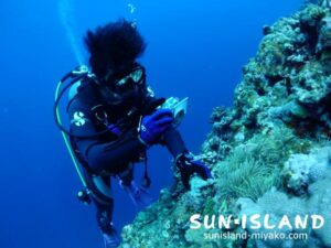 リピーターAさん