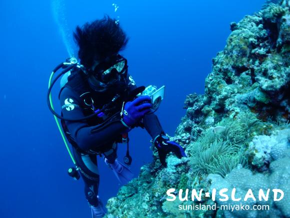 リピーターAさん