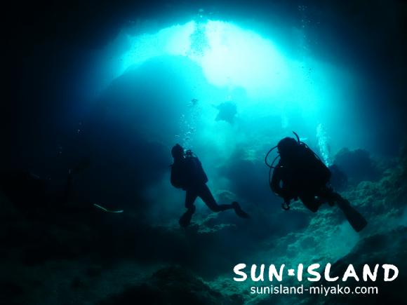 汽水域の池に浮上する今日のゲスト