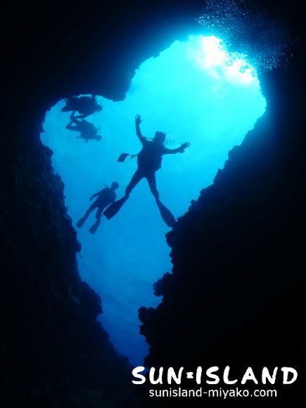 今日のゲストダイバー