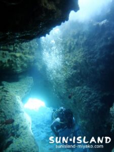 サプライズホール