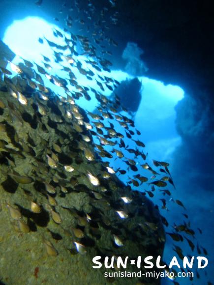 スネークホール