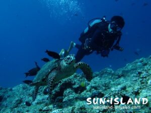 カメと一緒に泳ぐゲストKさん