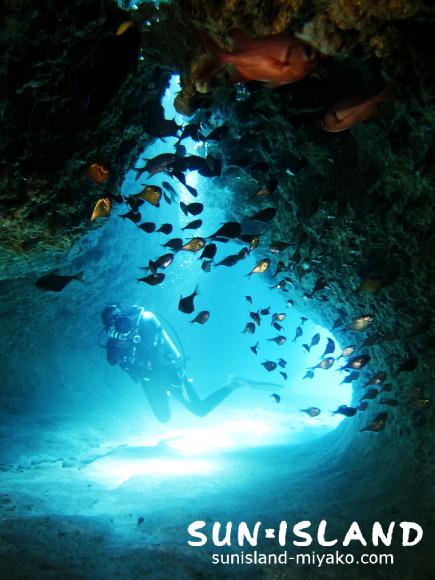 ムーンライトホール