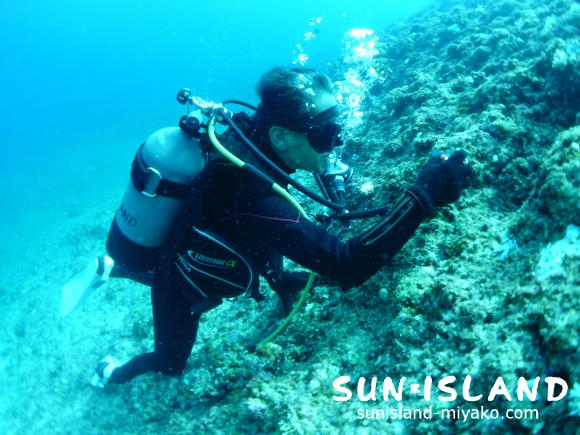 今日のゲストMさん