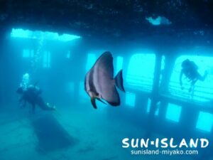 沈船ダイビング