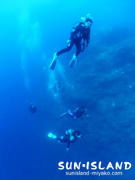 ドロップオフを泳ぐゲスト