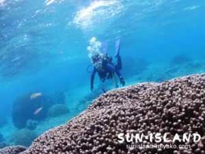 シギラビーチでダイビング