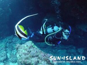 ハタタテダイを見るゲスト