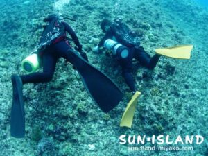 シングルバックマウント