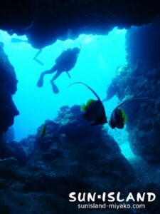 今日のゲストが潜るダイナミックな地形ポイント『マリンレイク』