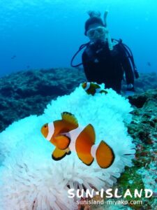 カクレクマノミを見るＨちゃん