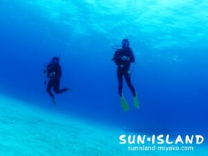 今日のゲストダイバー