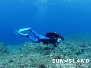 今日のゲストSさん