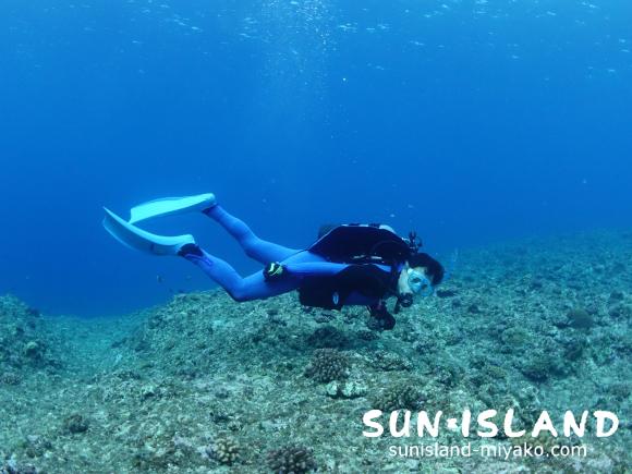 今日のゲストSさん