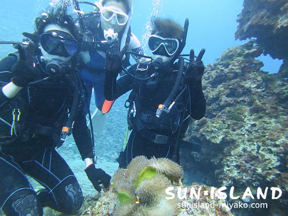 体験ダイビング