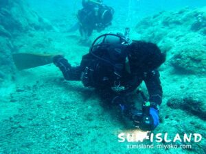 リピーター・コウジさんとマンツーマンダイビング