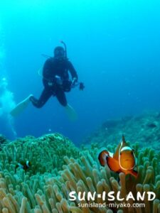 今日のゲスト・リピーターSさん