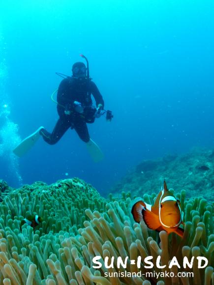 今日のゲスト・リピーターSさん