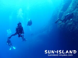 今日のゲストダイバー