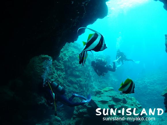 5/26のゲストさん