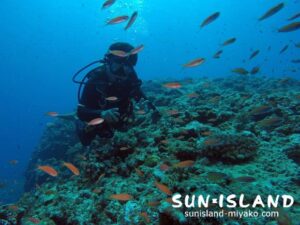 今日のゲスト、リピーター・Kさん