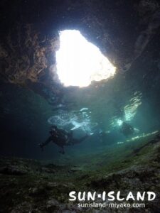 今日のゲストダイバー