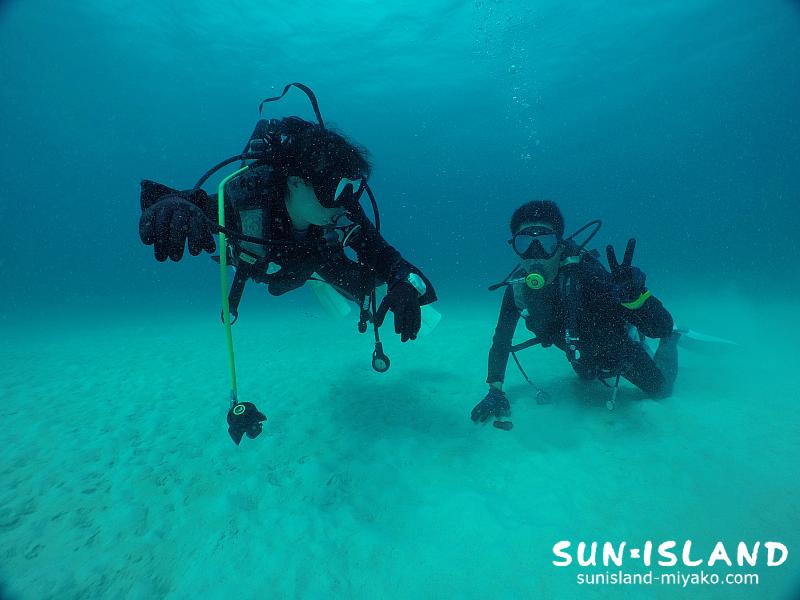 今日のゲストSさんご夫妻
