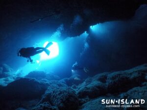 宮古島南岸エリア『牛さんこわいよ』