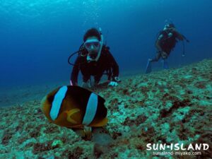 クモノミを見るIさん