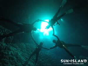 今日のゲストさんたち