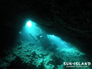 南岸エリアでのダイビング