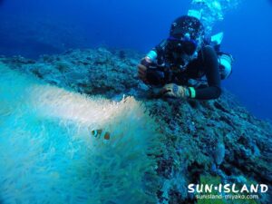 カクレクマノミを撮影するHさん