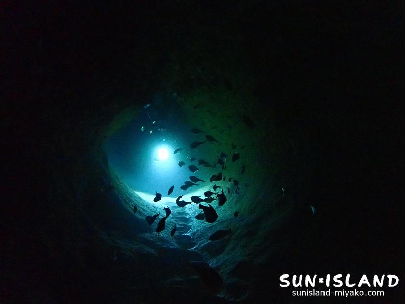 ムーンライトホール