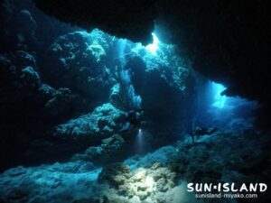 宮古島南岸エリア『牛さん ありがとう』