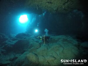 明暗のコントラストがキレイな『牛さん こわいよ』