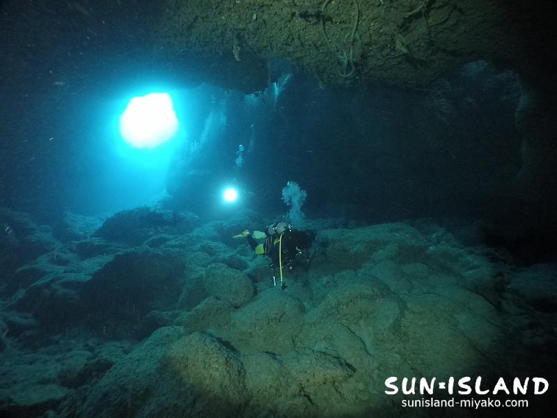 明暗のコントラストがキレイな『牛さん こわいよ』