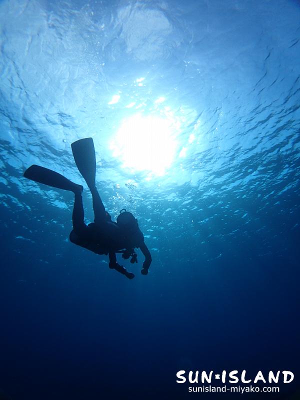 中層を泳ぐゲストダイバー