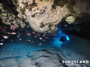 ムーンライトホール