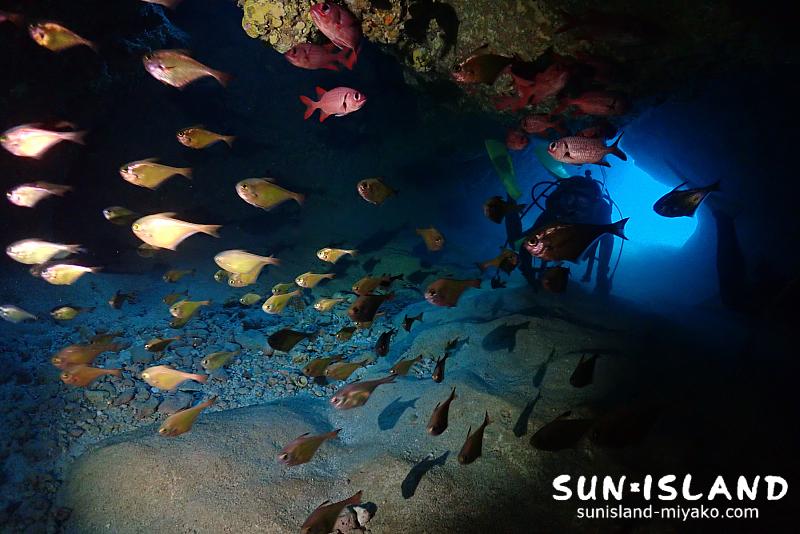 ムーンライトホール