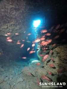 光差し込む下地島ダイビングスポット・ポイント【マリンレイク】