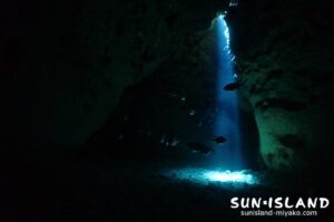 なるほどザ・ケーブ